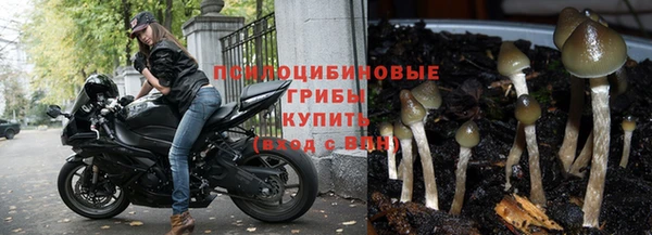 ПСИЛОЦИБИНОВЫЕ ГРИБЫ Алексеевка
