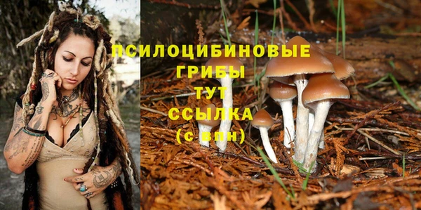 трава Алзамай