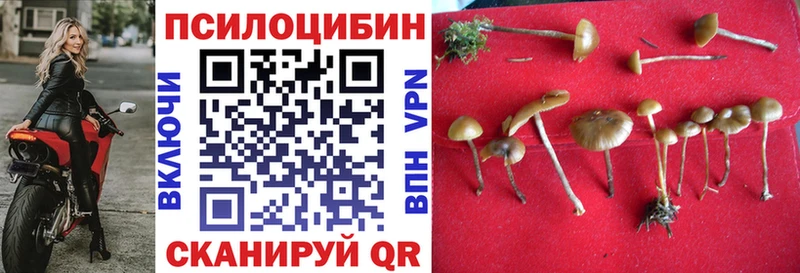 где продают наркотики  Пикалёво  ссылка на мегу ТОР  shop как зайти  Галлюциногенные грибы MAGIC MUSHROOMS 